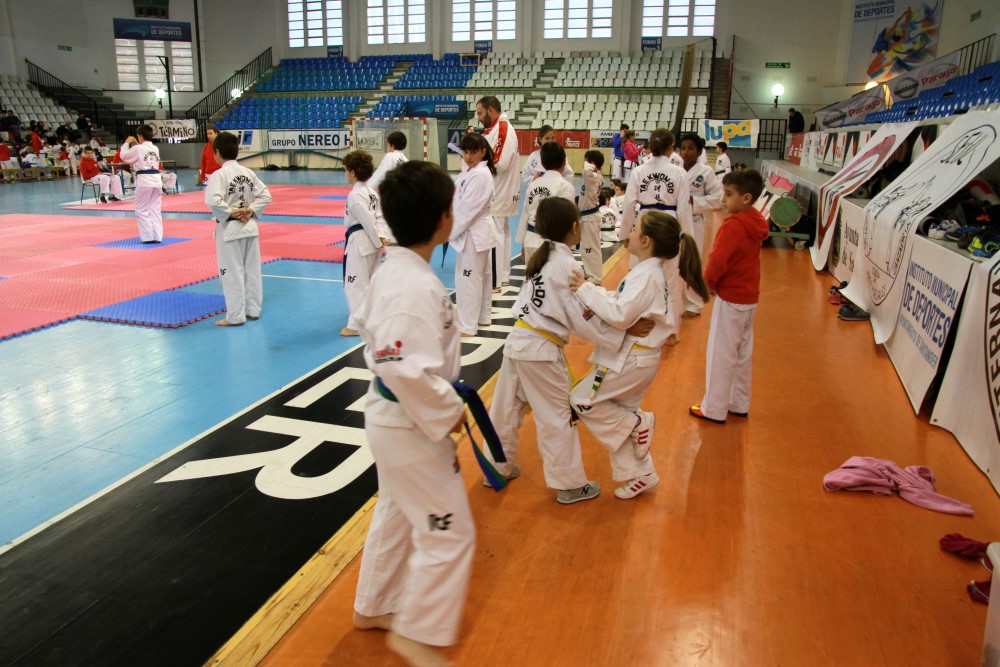 Taekwondo Dic 2016 (138).jpg